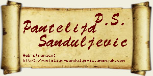 Pantelija Sanduljević vizit kartica